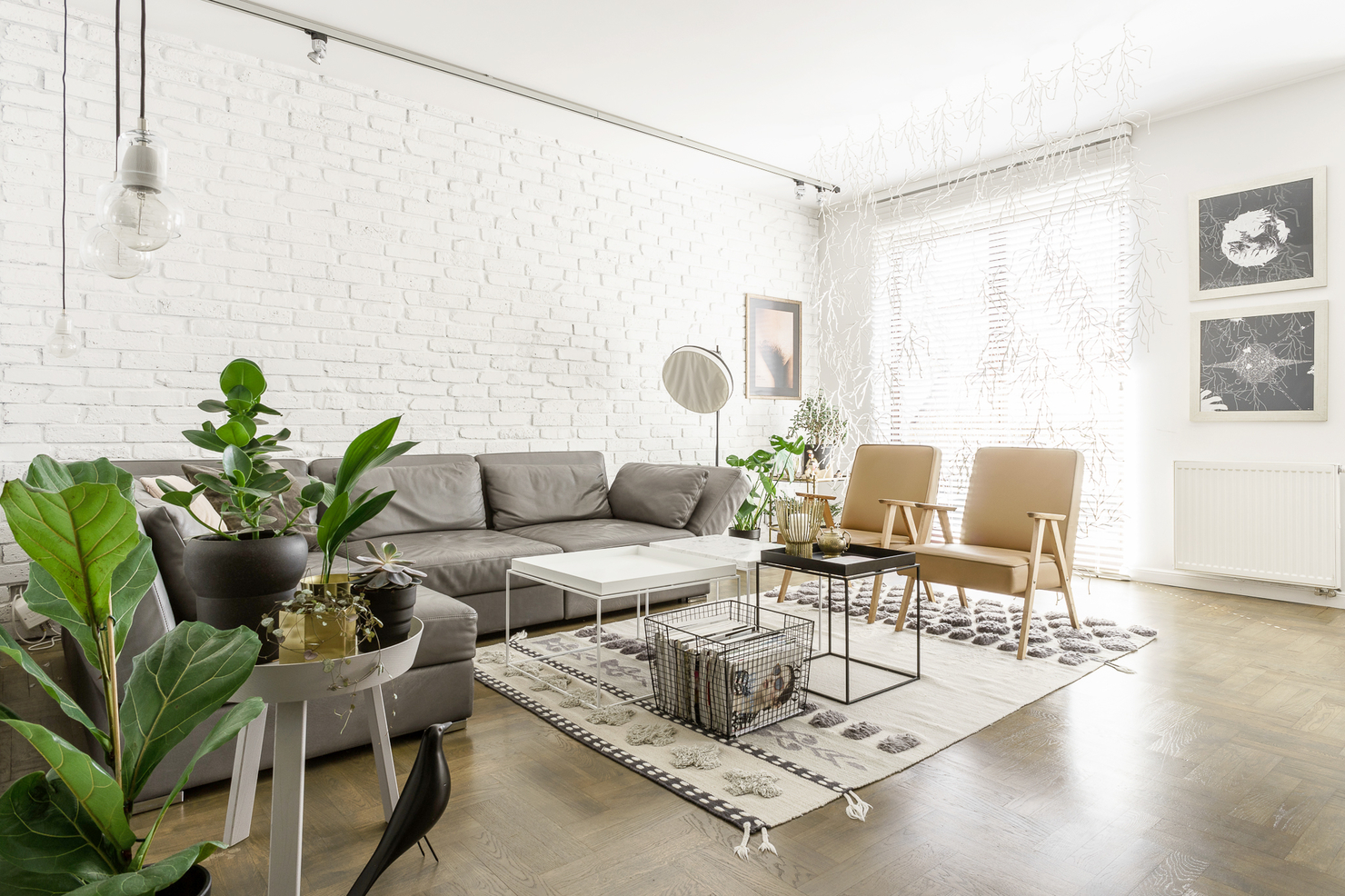 Apartament///SOP